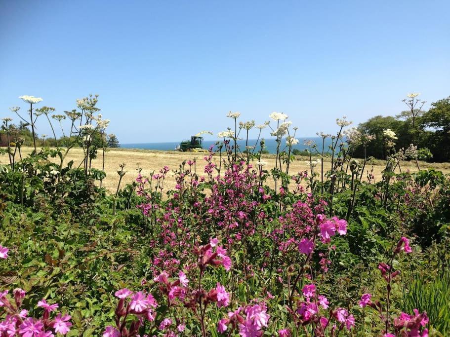 Little Bream - Pretty Cosy Cottage, Sea Views, Walk To The Beach Mawnan Smith Esterno foto